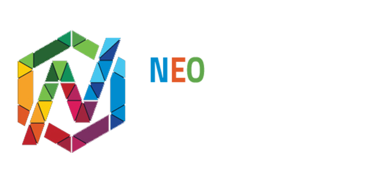 NEO FINANCIAL SOLUTIONS